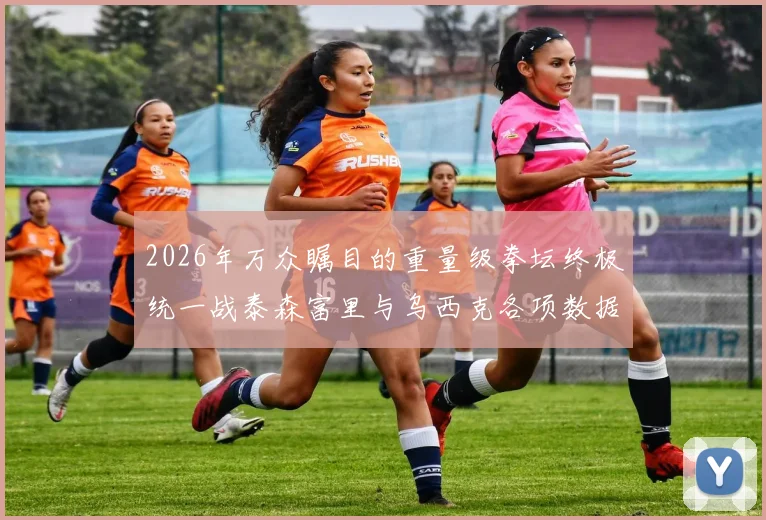 2026年万众瞩目的重量级拳坛终极统一战泰森富里与乌西克各项数据对比与最终胜负预测揭秘