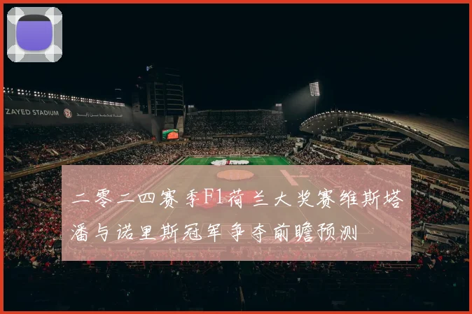 二零二四赛季F1荷兰大奖赛维斯塔潘与诺里斯冠军争夺前瞻预测