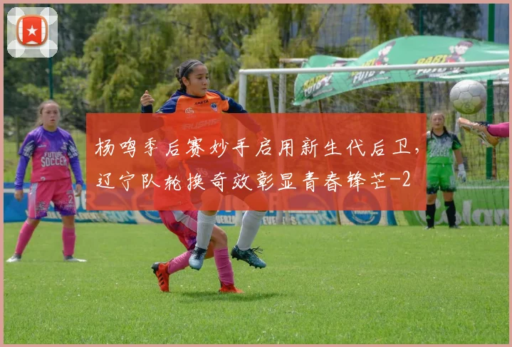 杨鸣季后赛妙手启用新生代后卫,辽宁队轮换奇效彰显青春锋芒