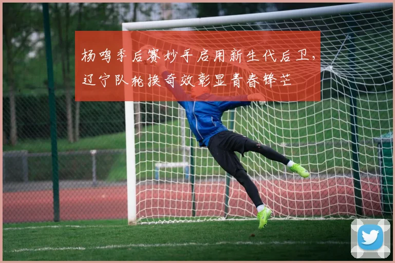 杨鸣季后赛妙手启用新生代后卫，辽宁队轮换奇效彰显青春锋芒